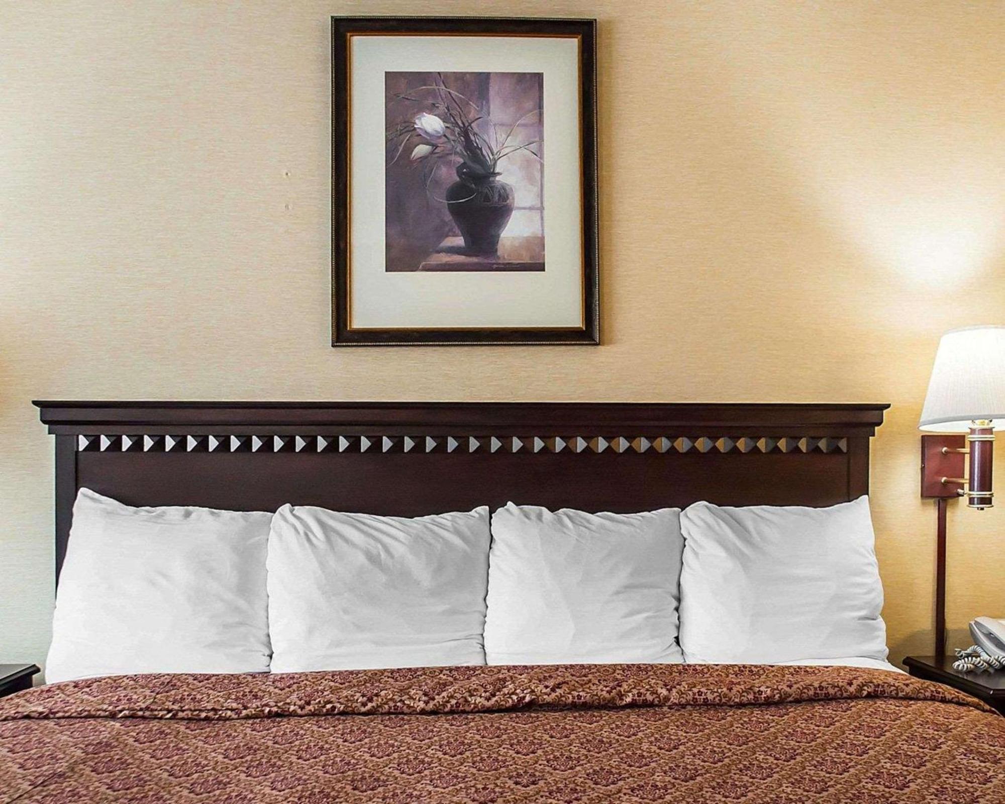 Econo Lodge Elmira-Corning Fisherville Dış mekan fotoğraf